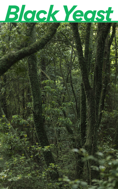 [Innisfree] Forest For Men Fresh Skin 180ml