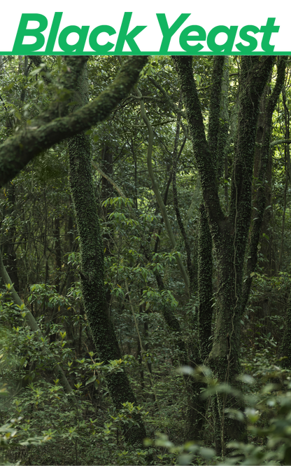 [Innisfree] Forest For Men Shaving Cleansing Foam 150g